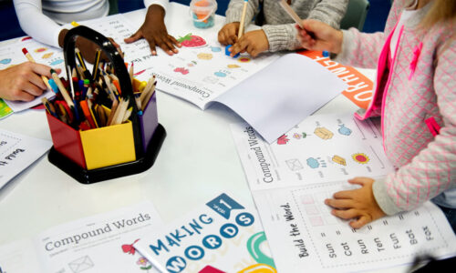 الصورة المصغرة للدورة