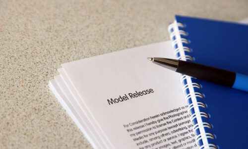 الصورة المصغرة للدورة